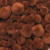 Pom Poms 100 Pieces Color Brown by Colorations