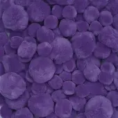 Pom Poms 100 Pieces Color Purple by Colorations