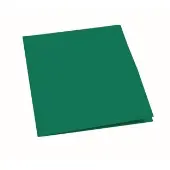 Plastic Pocket Folder Green by Really Good Stuff LLC