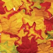 Fabric Fall Leaves 200 Pieces by Colorations