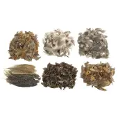Natural Feathers Classroom Pack by Colorations