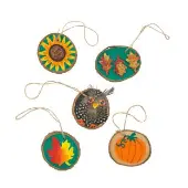 Natural Wood Slices Pre Drilled Set of 24 with Twine by Colorations