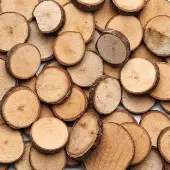 Wood Craft Rounds 50 Pieces by Colorations