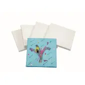 8 x 8 Stretched Canvas Value Pack Set of 24 by Colorations