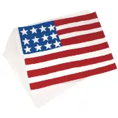 White Poster Board 22 x 28 Pack of 100 by Colorations