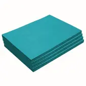 9 x 12 Mediumweight Turquoise Construction Paper Pack 200 sheets by Colorations
