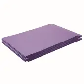 12 x 18 Mediumweight Violet Construction Paper Pack 200 Sheets by Colorations