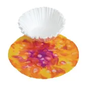 Liquid Watercolor Medium Texas Snowflakes Set of 35 by Colorations