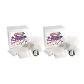 Super Lightweight Air Dry Putty 4lbs by Colorations