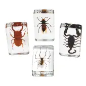 Acrylic Scary Bug Specimens Set of 4 by Excellerations