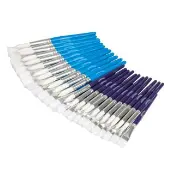 Assorted Paintbrush Classpack 40 Pieces by Colorations