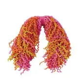 Mondo Ziggy Pasta Ball by Play Visions