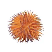 Super Painted Tip Inside Out Ball by Play Visions