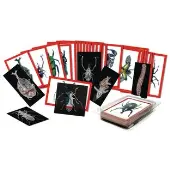 Bug X Rays and Photo Cards Set of 72 by Roylco