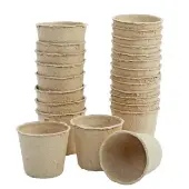 Decorate Your Own Seeds Pots Set of 24 by Really Good Stuff LLC
