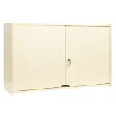 Locking Wall Storage Cabinet Assembled by Environments
