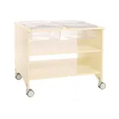 Mobile Sensory Table Ready to Assemble by Environments
