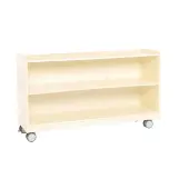 Mobile 24 H 2 Shelf Storage Assembled by Environments