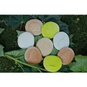 Nature Sensory Stones Set of 8 by Yellow Door