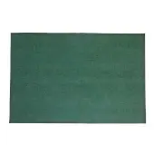 Dunes Indoor Outdoor Carpet 4 x 6 Coastal Pine by Environments
