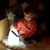 Light Up Lanterns Single by TTS