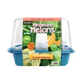 Miniature Melons by Unique Gardener