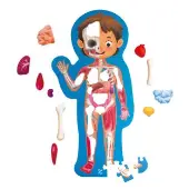 Human Body Puzzle 60pcs in carry case by Hape