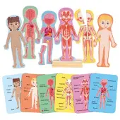 Human Body Magnetic Puzzle 63pcs by Hape