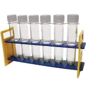 Large Plastic Test Tubes with Caps and Rack 6 test tubes 1 rack by Steve Spangler Science