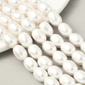Electroplated Shell Pearl Beads Strands