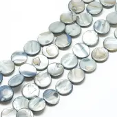 Natural Shell Beads Strands
