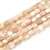 Natural Trochid Shell/Trochus Shell Beads Strands