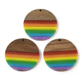 Pride Rainbow Theme Resin & Walnut Wood Pendants