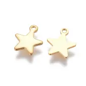 304 Stainless Steel Charms