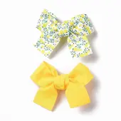 Iron Alligator Hair Clips