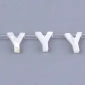 Natural Sea Shell Beads