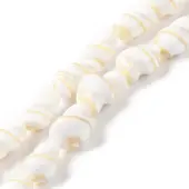 Natural Shell Beads Strands