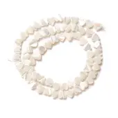 Natural Trochid Shell/Trochus Shell Beads