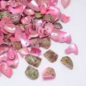 Dyed Natural Spiral Shell Chips Beads