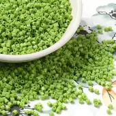Opaque Glass Seed Beads