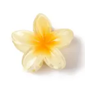 Plastic Claw Hair Clips