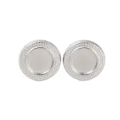 Non-Tarnish 304 Stainless Steel Earrings for Women
