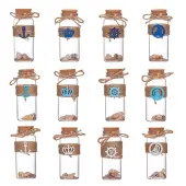 12Pcs Natural Sea Shell Conch Bead in Transparent Glass Bottle Display Decorations