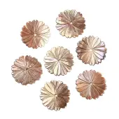 Natural Sea Shell Beads
