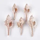 Electroplate Spiral Shell Big Pendants