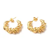 Ion Plating(IP) 304 Stainless Steel Twist Round Earrings