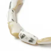 Natural Trochid Shell/Trochus Shell Beads Strands