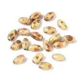 Baking Paint Glass Seed Beads