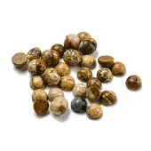 Natural Picture Jasper Cabochons