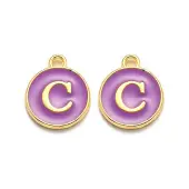 Golden Plated Alloy Enamel Charms